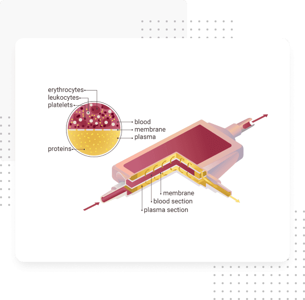 Plasmapheresis